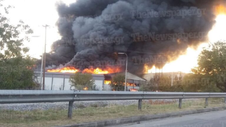 Μεγάλη φωτιά εκδηλώθηκε σε αποθήκη στον Βόλο – Πυκνοί καπνοί είναι ορατοί σε Νότιο Πήλιο και θεσσαλικό κάμπο (εικόνες & βίντεο)