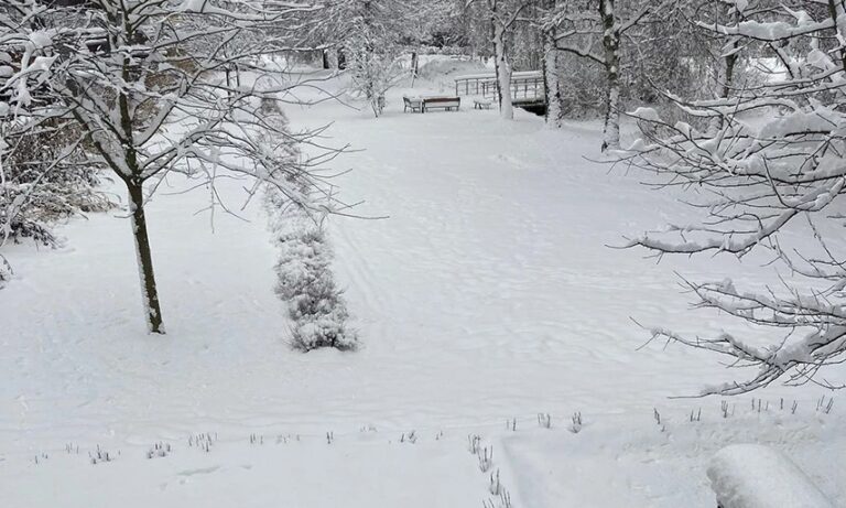 Σουηδία: Από τους 16,7 βαθμούς στο ψύχος – Τα πάντα καλύφθηκαν από το χιόνι