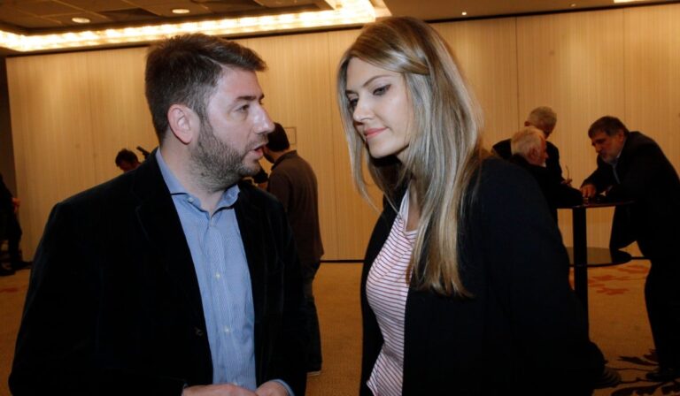 Ανδρουλάκης: «Η Εύα Καϊλή λειτουργούσε ως Δούρειος Ιππος της ΝΔ στο ευρωκοινοβούλιο»
