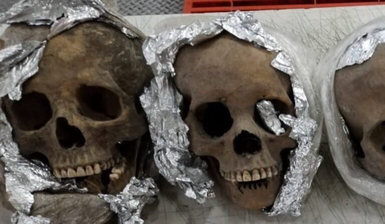 Φρίκη στο Μεξικό: Ανθρώπινα κρανία βρέθηκαν σε δέμα με προορισμό τις ΗΠΑ (εικόνες)