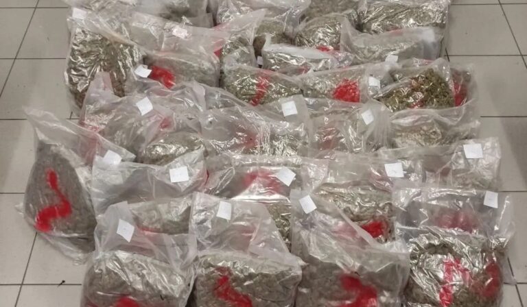 Φλώρινα: Η ΕΛ.ΑΣ. «τσάκωσε» δύο διακινητές με περισσότερα από 64 κιλά κάνναβης (εικόνες)