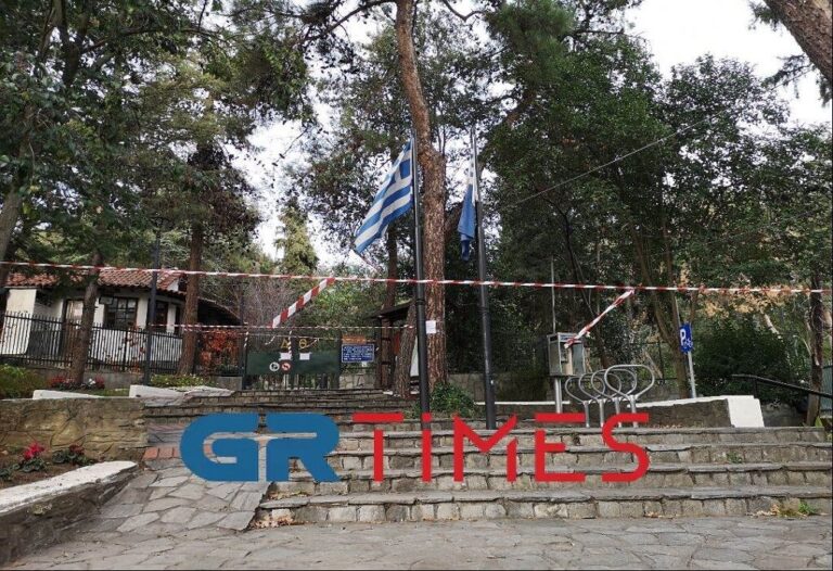 Θεσσαλονίκη: Έκλεψαν καλώδια, προκάλεσαν βραχυκύκλωμα και έκαψαν τον ηλεκτρικό πίνακα σε ζωολογικό κήπο!