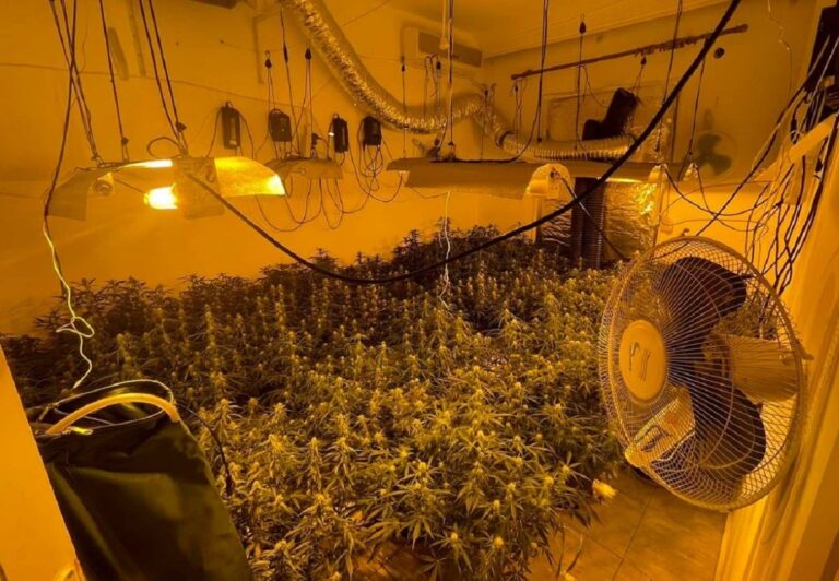 Θεσσαλονίκη: 32χρονος μετέτρεψε το σπίτι σε εργαστήριο καλλιέργειας κάνναβης!