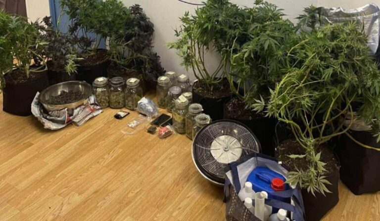Αστυνομικοί εντόπισαν εργαστήρια κάνναβης σε πολυκατοικία στην Κυψέλη – Χειροπέδες σε 2 άτομα (εικόνες)