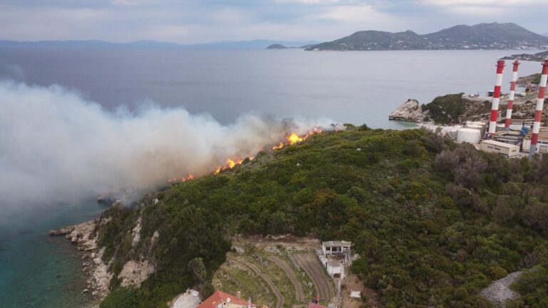 Φωτιά στη Σάμο – Στο σημείο επιχειρούν 18 πυροσβέστες (εικόνες)