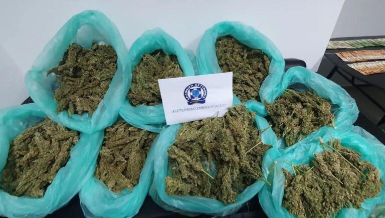 Κρήτη: Στα χέρια της ΕΛ.ΑΣ και ο 46χρονος αδερφός του αγρότη που συνελήφθη για τα 57 κιλά χασίς σε θερμοκήπια