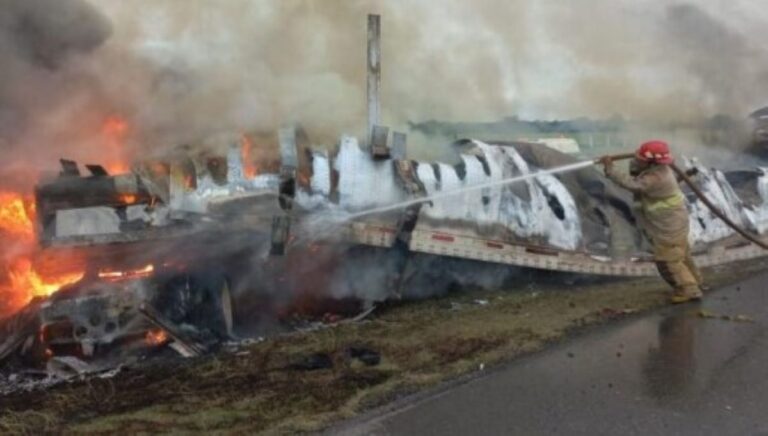Τραγωδία στο Μεξικό: 26 νεκροί σε σύγκρουση φορτηγού με λεωφορείο – Βρέθηκαν πτώματα απανθρακωμένα (εικόνες))