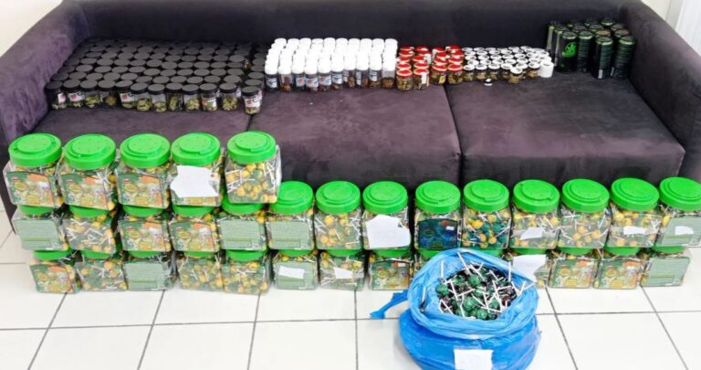 Θήρα: Χειροπέδες σε 7 διακινητές ναρκωτικών – Είχαν την κάνναβη μέσα σε βαζάκια (εικόνες)