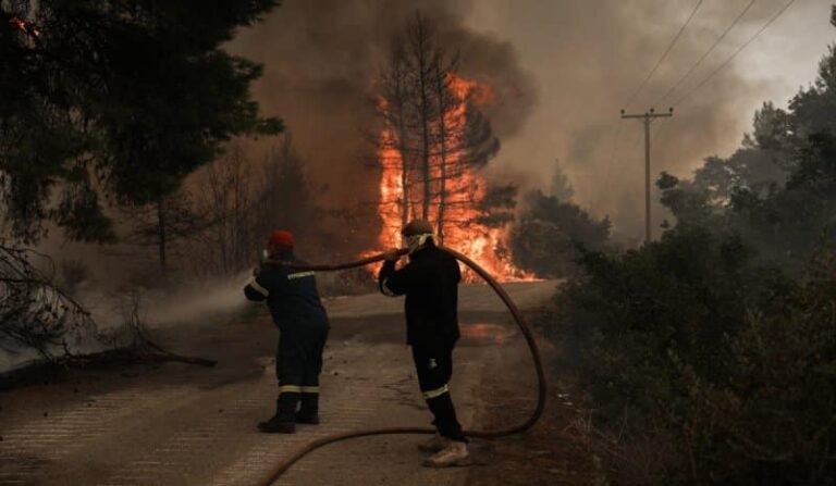 Στάχτη πάνω από 1.300.000 στρέμματα στην Ελλάδα το 2021 – Κάηκαν όσα κατά την οκταετία 2013-2020 (γράφημα)