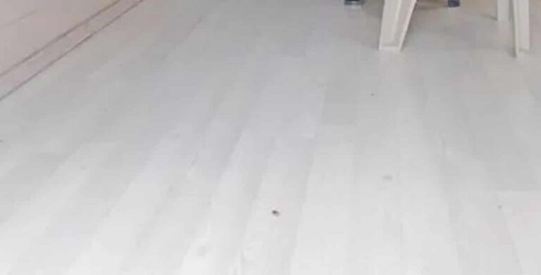 Εκτός ελέγχου η κατάσταση στην Τουρκία: Επίθεση με σφαίρες στα γραφεία του Κιλιτσντάρογλου στην Ούρφα (εικόνες)