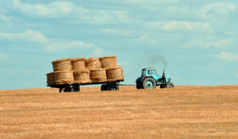 Τραγωδία στην Κρήτη: Έπεσε από μεγάλο ύψος και εγκλωβίστηκε στο τρακτέρ του – Νεκρός ο 66χρονος  