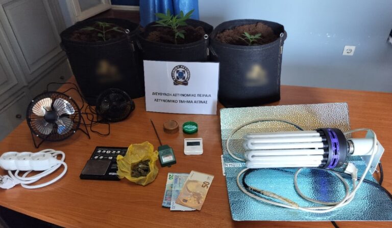 Συνελήφθησαν 3 άτομα για καλλιέργεια δενδρυλλίων κάνναβης και διακίνηση ναρκωτικών στην Αίγινα (εικόνα)