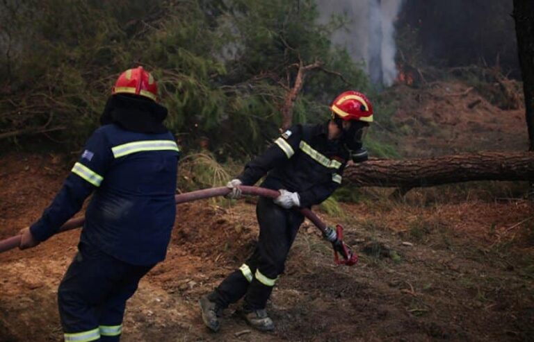 Πυροσβεστική: Το τελευταίο 24ωρο εκδηλώθηκαν 50 δασικές πυρκαγιές