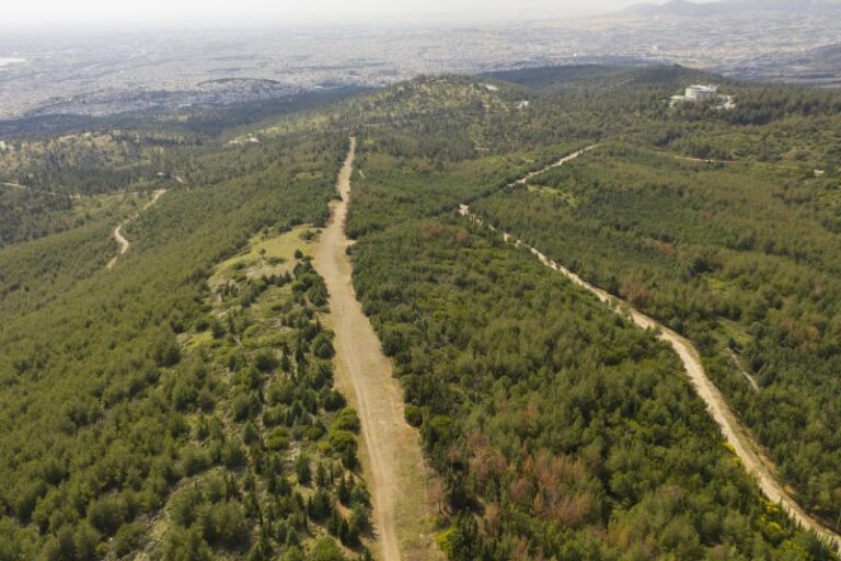 Συνταγματικοί οι αναθεωρημένοι δασικοί χάρτες σύμφωνα με το ΣτΕ