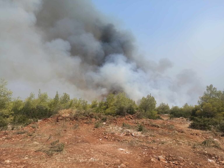 Φωτιά στη Μάνδρα: Αναζωπύρωση στην περιοχή Αγία Σωτήρα