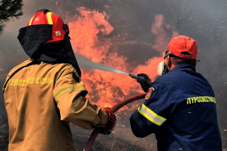 Ενημέρωση Πυροσβεστικού Σώματος: Eκδηλώθηκαν 41 δασικές πυρκαγιές το τελευταίο 24ωρο!