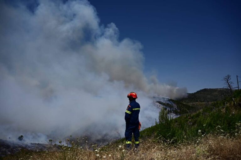 Διακοπή κυκλοφορίας στην επαρχιακή οδό Ελευσίνας – Θηβών λόγω της πυρκαγιάς