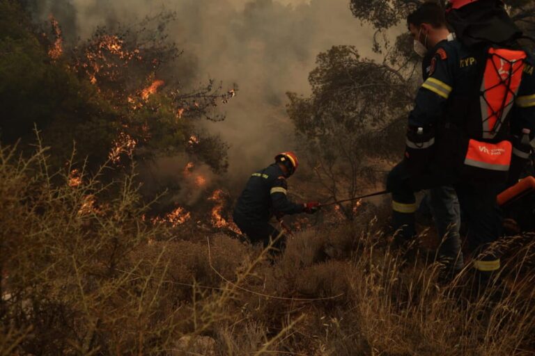 Βόλος: Φωτιά κοντά στις Γλαφυρές Μαγνησίας στο πεδίο βολής του Στρατού (βίντεο)