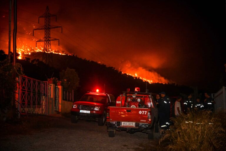 Βόλος: Περιορίστηκε η φωτιά από την πυροσβεστική