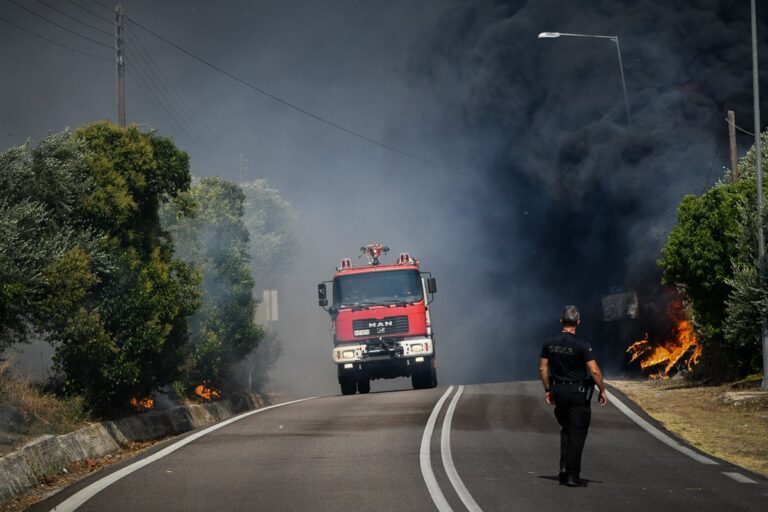 Φωτιές: Με τις φλόγες «παλεύουν» πυροσβέστες και κάτοικοι – Αναζωπύρωση στη Λέσβο