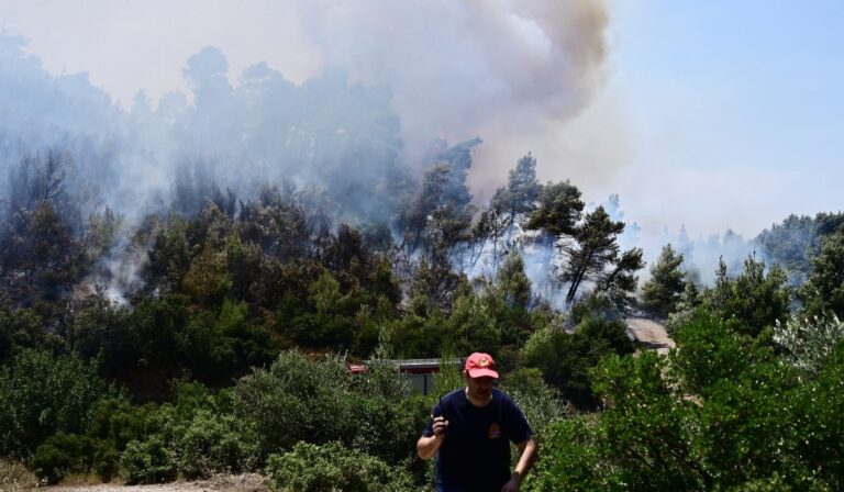 Λέκκας: «Φοβάμαι ότι με τις φωτιές το περιβαλλοντικό σύστημα της Αττικής θα καταρρεύσει σε λίγο» (βίντεο)