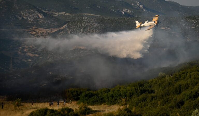 Απίστευτο: Τριάντα πυρκαγιές σε ένα μήνα στην Καμηλόβρυση Λαμίας!