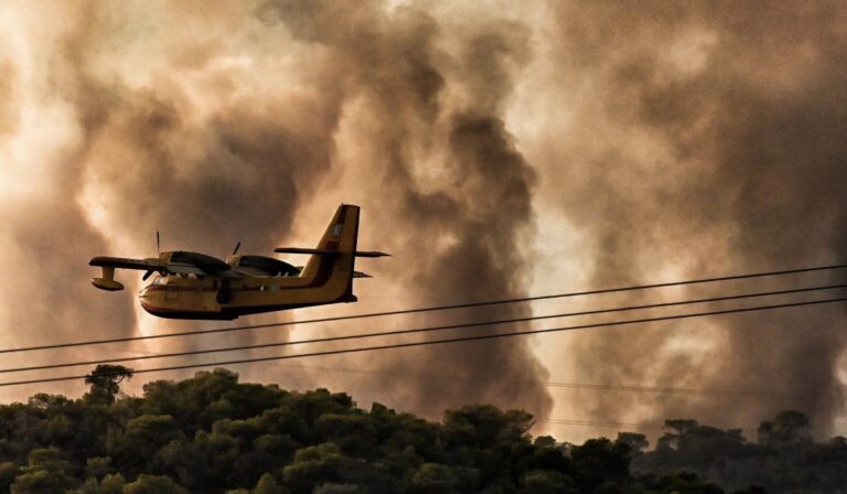 Αντιδήμαρχος Μεγαρέων για φωτιά: «Δυστυχώς, μας εγκατέλειψαν χθες τα εναέρια μέσα» (βίντεο)