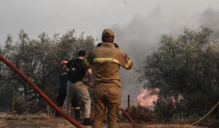 Κρήτη: Υπό μερικό έλεγχο η πυρκαγιά στην Γαρίπα Ηρακλείου – Σε εξέλιξη επιχείρηση της Πυροσβεστικής