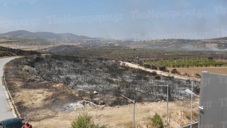 Φωτιές στη Μαγνησία: «Μέσα στον Αύγουστο η πρώτη δόση των αποζημιώσεων στους πυρόπληκτους», λέει ο Τριαντόπουλος