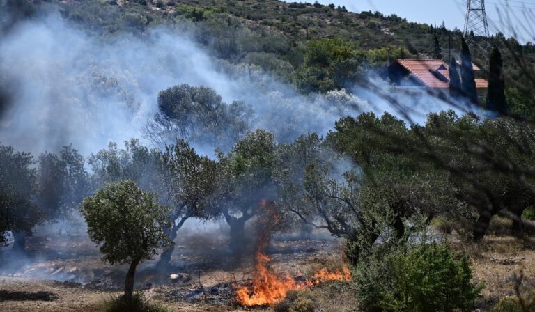 Παύλος Μαρινάκης: «Τις τελευταίες τρεις μέρες ξέσπασαν 177 πυρκαγιές»