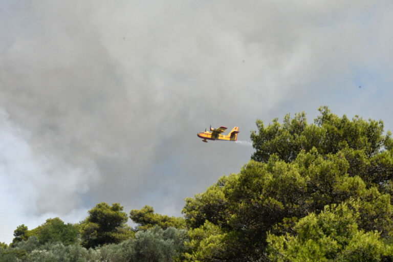 Πυρκαγιά στην Κεφαλονιά: Οι πυροσβέστες έσωσαν όλα τα σπίτια που απειλήθηκαν από τις φλόγες