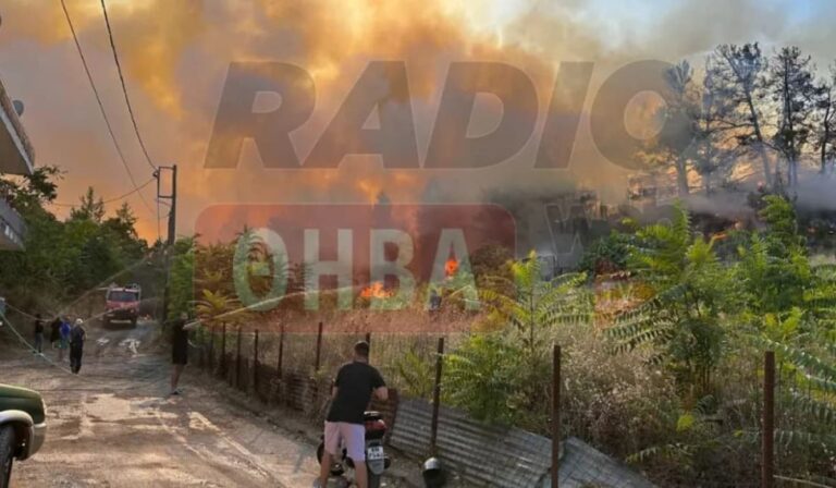 Φωτιά τώρα ξέσπασε κοντά σε σπίτια στη Θήβα! (βίντεο)