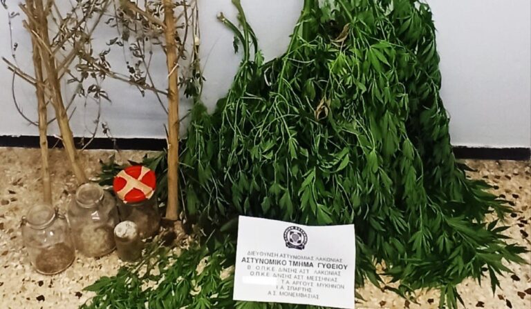 Αστυνομικοί «τσάκωσαν» 9 άτομα για ναρκωτικά στη Λακωνία (εικόνα)