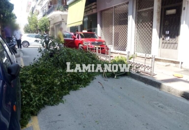 Λαμία: Απίστευτο τροχαίο με ταξί – Για να γλιτώσει την σύγκρουση με ΙΧ, έπεσε σε κολώνα και δέντρο! (εικόνες)