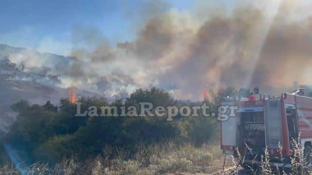 Οριοθετήθηκε η φωτιά στον Προφήτη Ηλία Λαμίας – Πέντε αεροσκάφη στη μάχη με τις φλόγες (βίντεο)