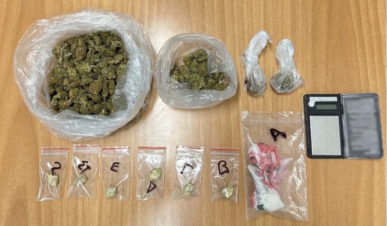 Χαλκιδική: Δύο άνδρες έκρυβαν σε νάιλον συσκευασίες κοκαΐνη και κάνναβη (εικόνα)