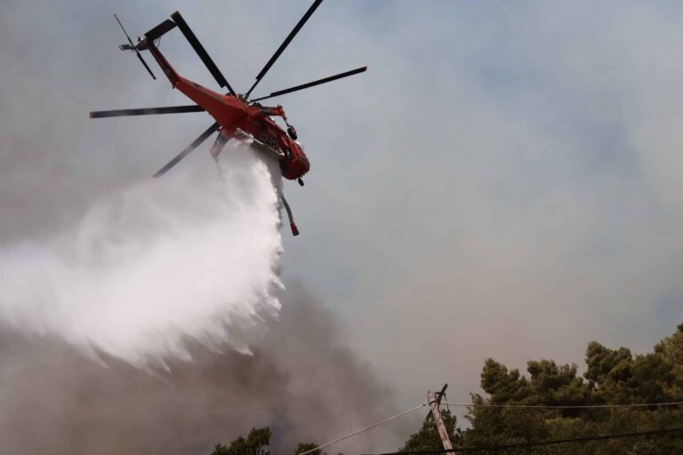 Συναγερμός με τη φωτιά στον Έβρο: «Αύριο αλλάζει ο αέρας, μεγαλώνει η απειλή!», δηλώνει ο αντιπεριφερειάρχης