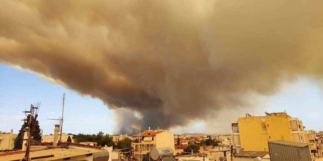 Φωτιά στην Αλεξανδρούπολη