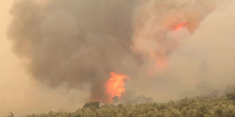 Η ΔΕΠΑ Εμπορίας αποκαθιστά τις ζημιές του δημοτικού σχολείου Παλαγιάς από τις καταστροφικές φωτιές στον Έβρο