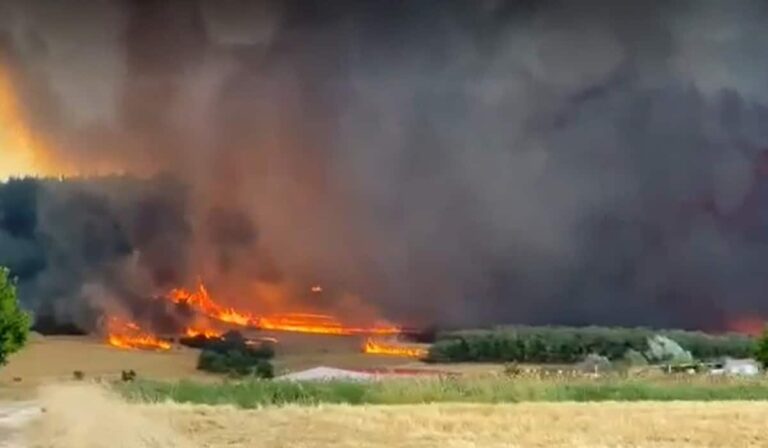 Ενισχύθηκε η συνδρομή των Ενόπλων Δυνάμεων για την κατάσβεση της φωτιάς στην Αλεξανδρούπολη