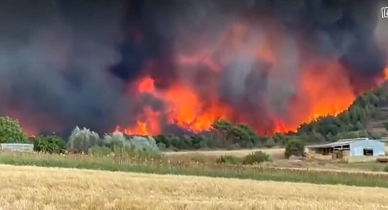 Φωτιές: Πολύ υψηλός κίνδυνος σήμερα – Ποιες περιοχές βρίσκονται στο «πορτοκαλί» (εικόνα)