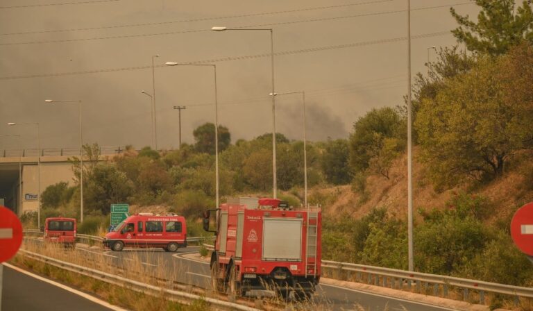 Φωτιά σε Έβρο και Ροδόπη: Κάηκαν 2.800 ζώα και καταστράφηκαν 2.330 κυψέλες – Τα μέτρα για την επόμενη μέρα