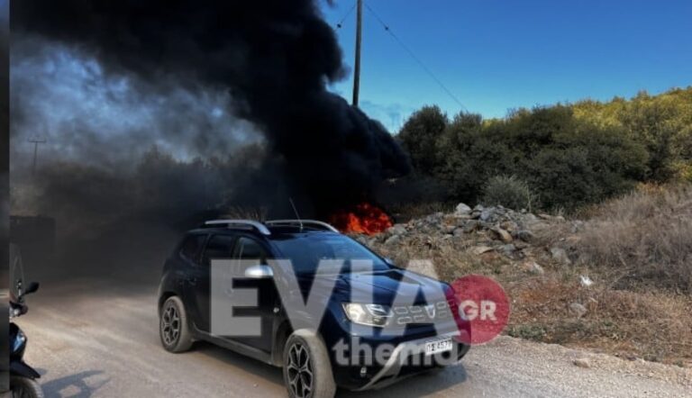 Πυρκαγιά στα Ψαχνά: «Καίγεται ο τόπος, ανεξέλεγκτη η φωτιά» λέει ο δήμαρχος Διρφύων – Μεσσαπίων – Νέα μηνύματα από το 112 για εκκενώσεις (βίντεο)