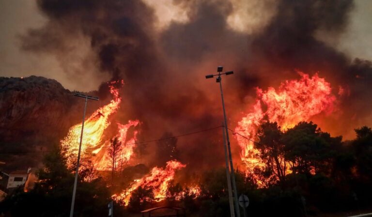 Συνεχίζεται η προσπάθεια κατάσβεσης στον Έβρο – Με ενισχύσεις από Βουλγαρία, Τσεχία, Αλβανία, Ρουμανία και αντιπυρικές ζώνες