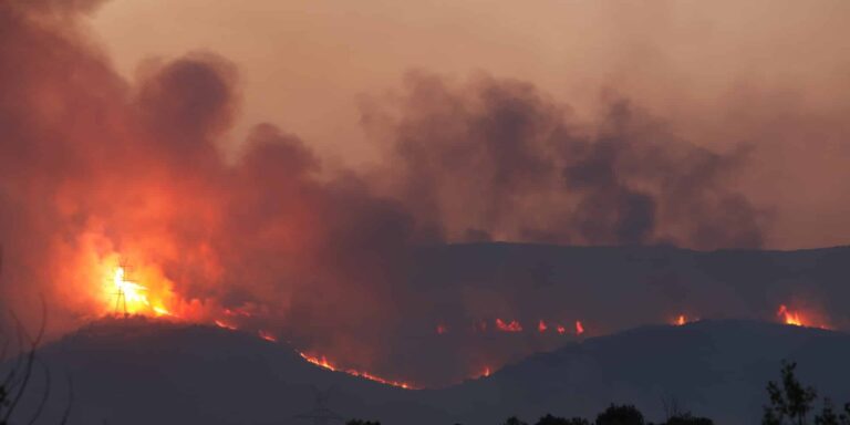 Φωτιές: Ειδική τηλεφωνική γραμμή επικοινωνίας της Εθνικής Ασφαλιστικής για τους πυρόπληκτους