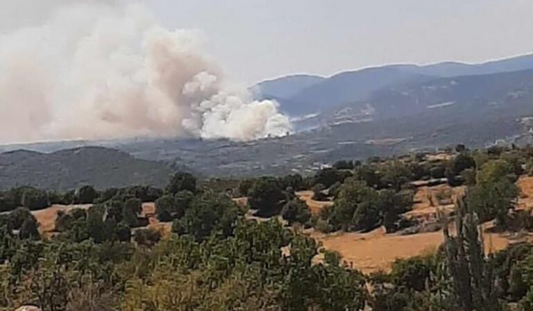 Υψηλός κίνδυνος πυρκαγιάς σε 21 περιοχές την Τρίτη (χάρτης)  