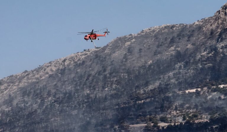 Αναδασωτέες οι καμένες περιοχές σε Έβρο και Πάρνηθα – Άμεσα τα αντιπλημμυρικά, τι συμφωνήθηκε στη σύσκεψη στο Μαξίμου για τις φωτιές