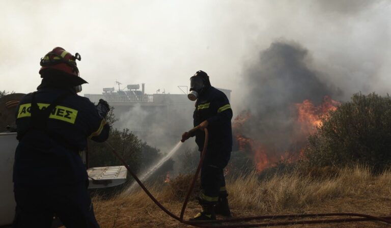 Αχαΐα: Φωτιά σε δασική περιοχή της Σκιόεσσα