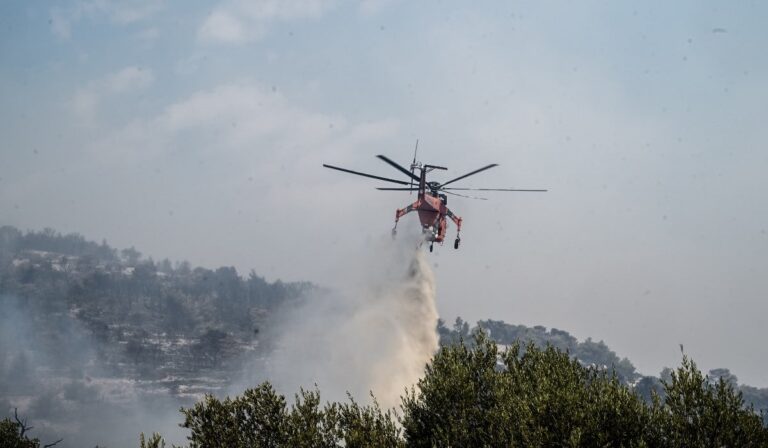 Φωτιά τώρα σε δασική έκταση στην Κέρκυρα: Σηκώθηκαν 2 αεροσκάφη – «Ήχησε» το 112 (βίντεο)