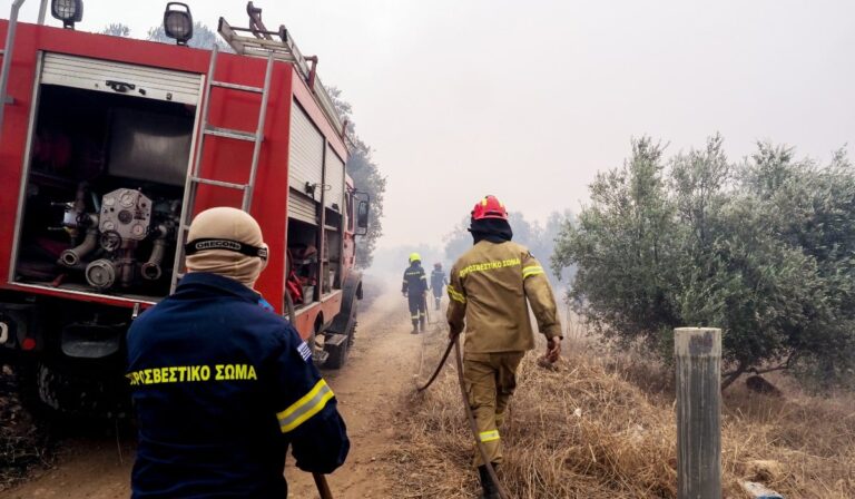 Φωτιά σε δύσβατο σημείο στα Φάρσαλα – Επιχειρούν 5 εναέρια μέσα